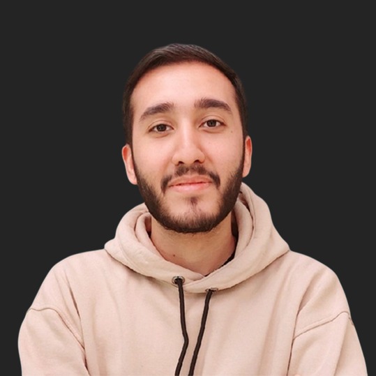 سید حسین مصطفوی